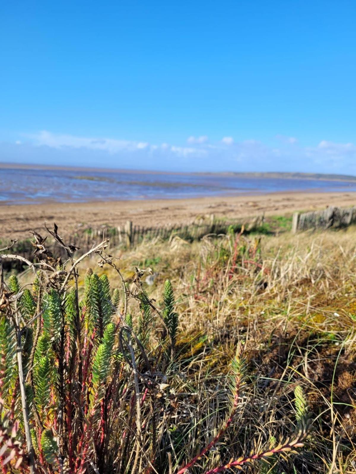 South Sands Hotel Weston-super-Mare Bagian luar foto